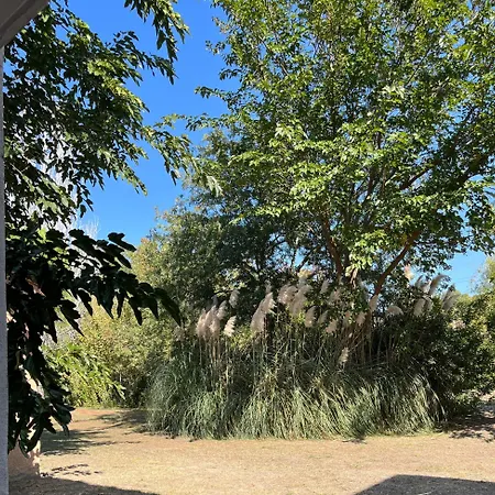 Le Flamand Rose Apartment Arles
