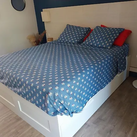 Le Flamand Rose Apartment *